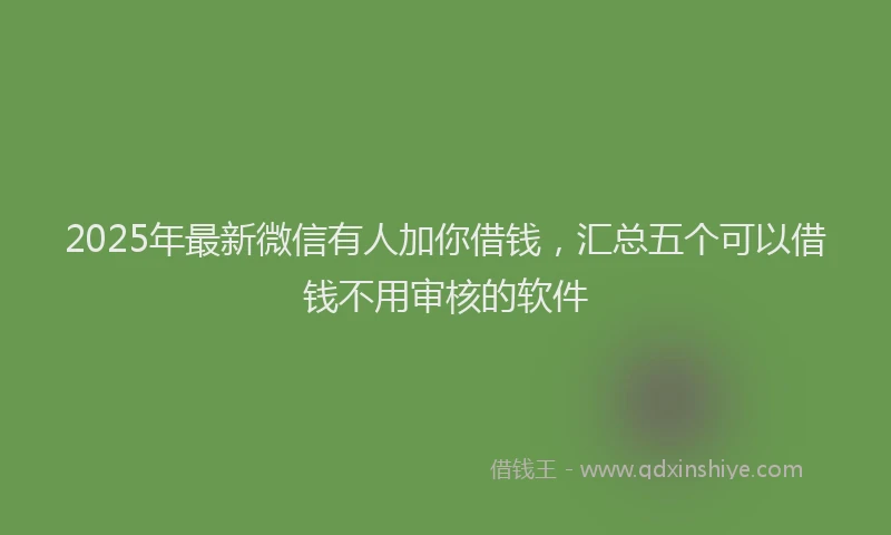 2025年最新微信有人加你借钱，汇总五个可以借钱不用审核的软件
