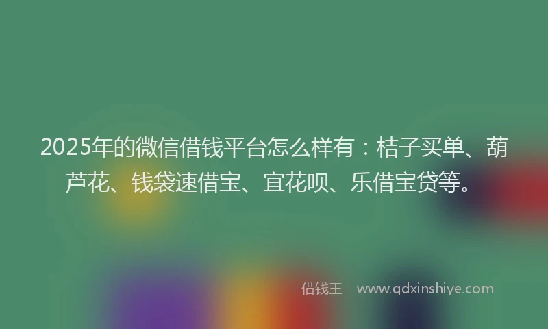 2025年的微信借钱平台怎么样有:桔子买单、葫芦花、钱袋速借宝、宜花呗、乐借宝贷等。