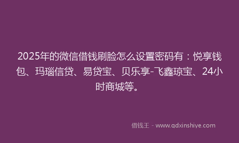 2025年的微信借钱刷脸怎么设置密码有：悦享钱包、玛瑙信贷、易贷宝、贝乐享-飞鑫琼宝、24小时商城等。