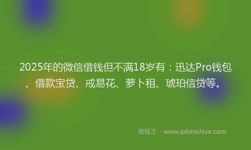 2025年的微信借钱但不满18岁有：迅达Pro钱包、借款宝贷、戒易花、萝卜租、琥珀信贷等。