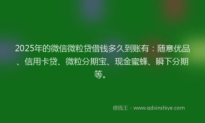 2025年的微信微粒贷借钱多久到账有：随意优品、信用卡贷、微粒分期宝、现金蜜蜂、瞬下分期等。