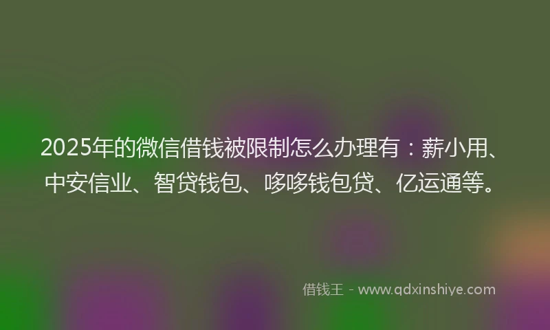 2025年的微信借钱被限制怎么办理有：薪小用、中安信业、智贷钱包、哆哆钱包贷、亿运通等。