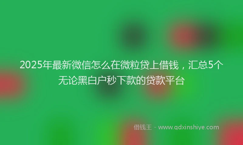 2025年最新微信怎么在微粒贷上借钱，汇总5个无论黑白户秒下款的贷款平台