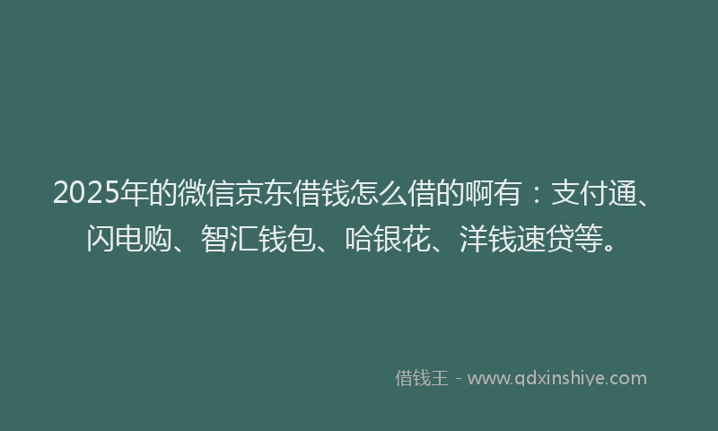 2025年的微信京东借钱怎么借的啊有：支付通、闪电购、智汇钱包、哈银花、洋钱速贷等。