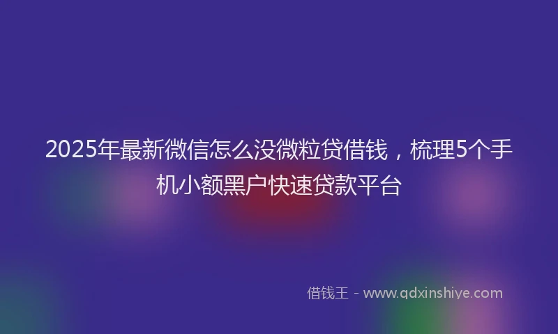 2025年最新微信怎么没微粒贷借钱，梳理5个手机小额黑户快速贷款平台