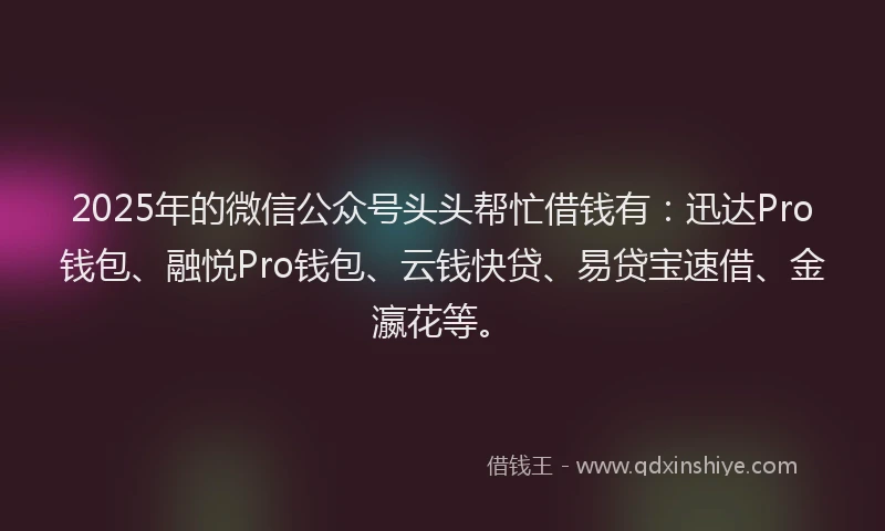 2025年的微信公众号头头帮忙借钱有：迅达Pro钱包、融悦Pro钱包、云钱快贷、易贷宝速借、金瀛花等。