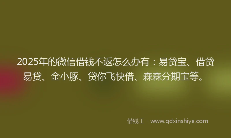 2025年的微信借钱不返怎么办有:易贷宝、借贷易贷、金小豚、贷你飞快借、森森分期宝等。