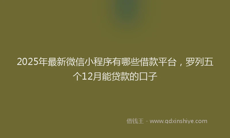 2025年最新微信小程序有哪些借款平台，罗列五个12月能贷款的口子