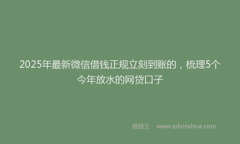 2025年最新微信借钱正规立刻到账的，梳理5个今年放水的网贷口子