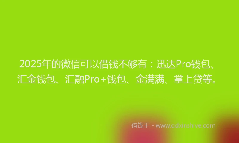 2025年的微信可以借钱不够有：迅达Pro钱包、汇金钱包、汇融Pro+钱包、金满满、掌上贷等。