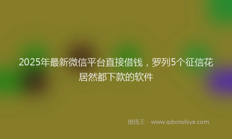 2025年最新微信平台直接借钱，罗列5个征信花居然都下款的软件