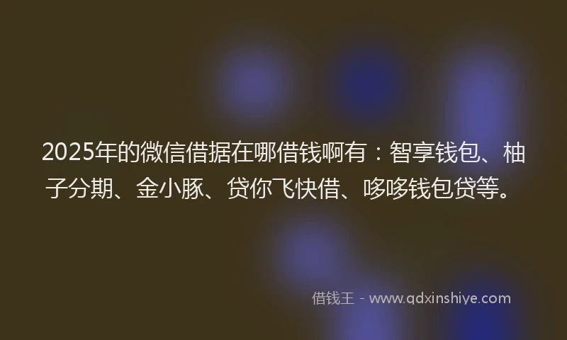 2025年的微信借据在哪借钱啊有：智享钱包、柚子分期、金小豚、贷你飞快借、哆哆钱包贷等。