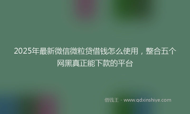 2025年最新微信微粒贷借钱怎么使用，整合五个网黑真正能下款的平台