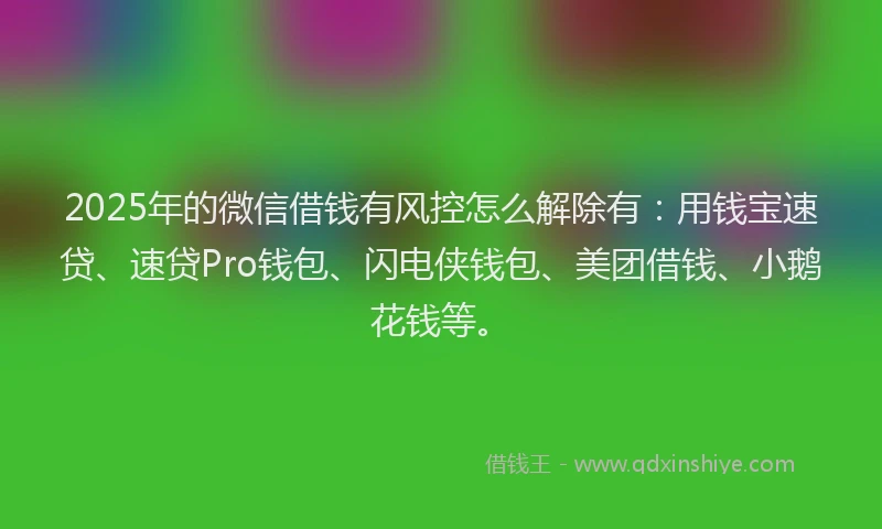 2025年的微信借钱有风控怎么解除有：用钱宝速贷、速贷Pro钱包、闪电侠钱包、美团借钱、小鹅花钱等。