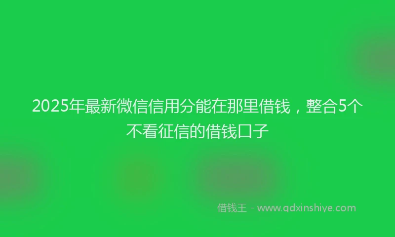 2025年最新微信信用分能在那里借钱，整合5个不看征信的借钱口子