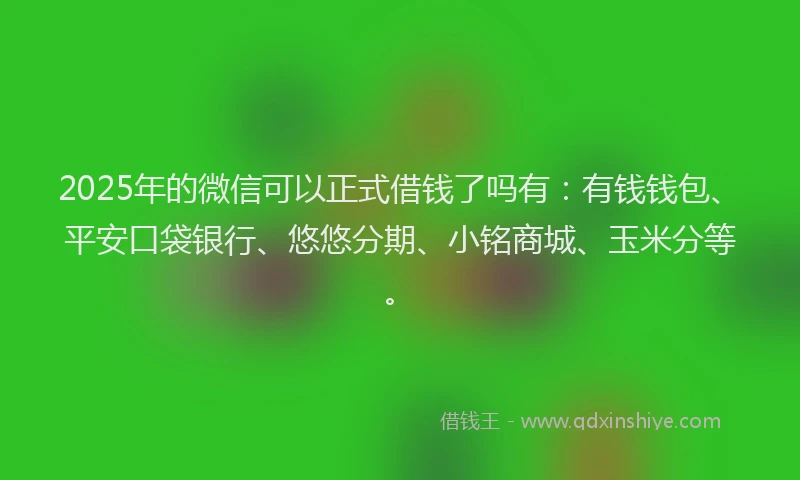2025年的微信可以正式借钱了吗有：有钱钱包、平安口袋银行、悠悠分期、小铭商城、玉米分等。