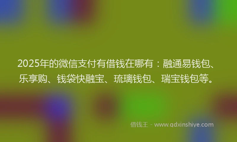 2025年的微信支付有借钱在哪有：融通易钱包、乐享购、钱袋快融宝、琉璃钱包、瑞宝钱包等。