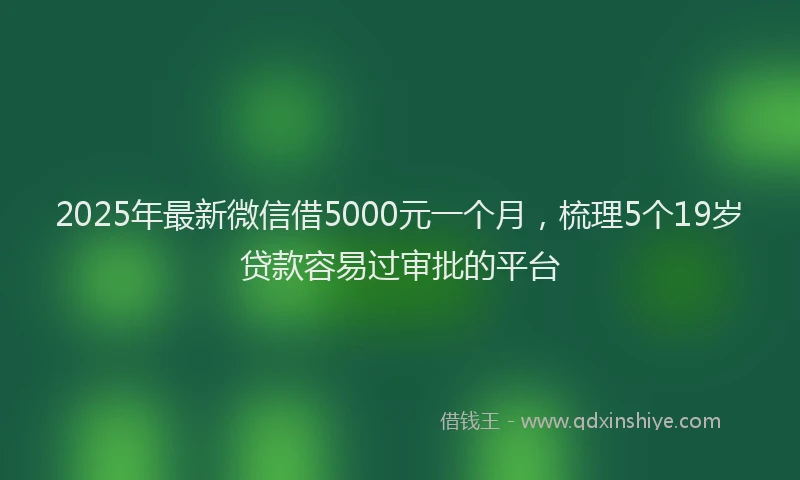 2025年最新微信借5000元一个月，梳理5个19岁贷款容易过审批的平台