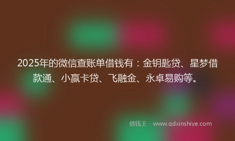2025年的微信查账单借钱有：金钥匙贷、星梦借款通、小赢卡贷、飞融金、永卓易购等。