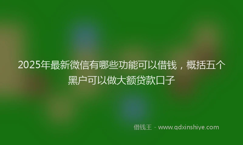 2025年最新微信有哪些功能可以借钱，概括五个黑户可以做大额贷款口子