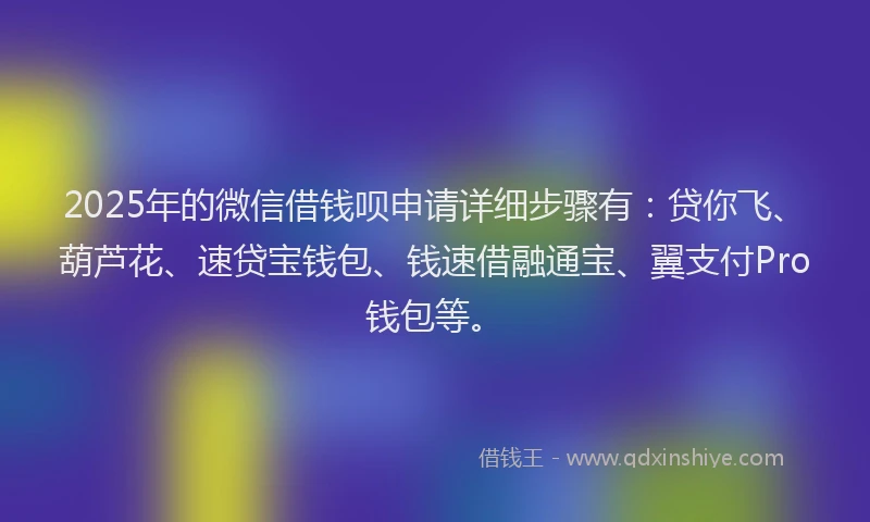 2025年的微信借钱呗申请详细步骤有：贷你飞、葫芦花、速贷宝钱包、钱速借融通宝、翼支付Pro钱包等。