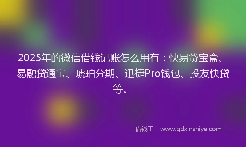 2025年的微信借钱记账怎么用有：快易贷宝盒、易融贷通宝、琥珀分期、迅捷Pro钱包、投友快贷等。