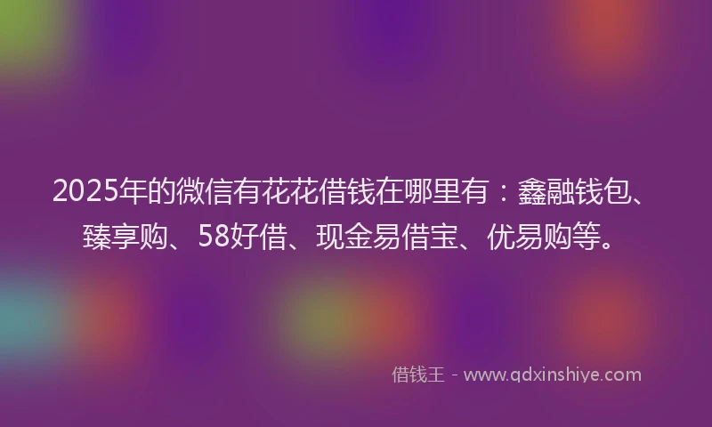 2025年的微信有花花借钱在哪里有：鑫融钱包、臻享购、58好借、现金易借宝、优易购等。