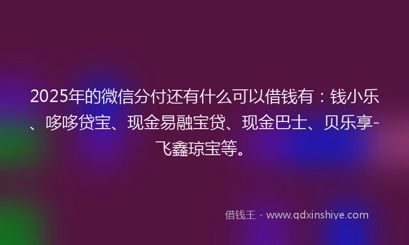 2025年的微信分付还有什么可以借钱有：钱小乐、哆哆贷宝、现金易融宝贷、现金巴士、贝乐享-飞鑫琼宝等。