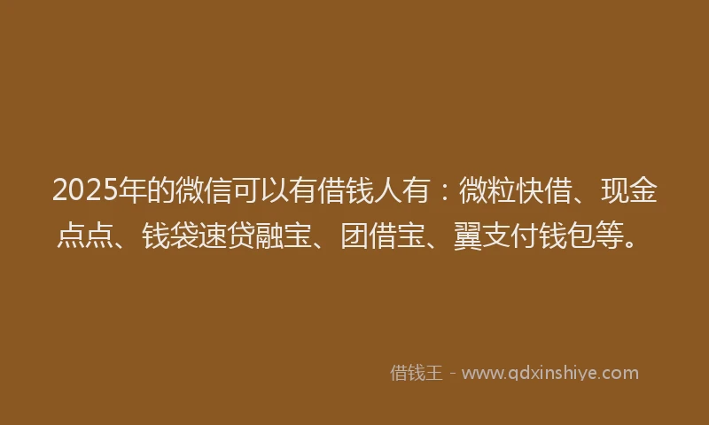 2025年的微信可以有借钱人有：微粒快借、现金点点、钱袋速贷融宝、团借宝、翼支付钱包等。