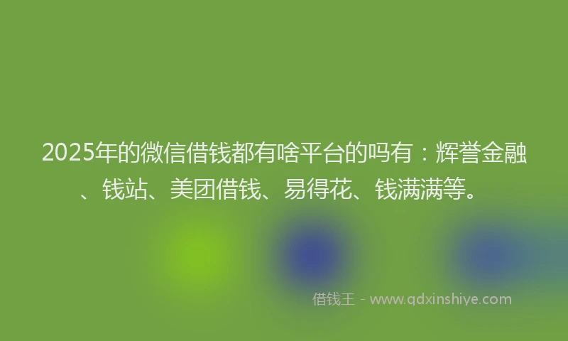 2025年的微信借钱都有啥平台的吗有：辉誉金融、钱站、美团借钱、易得花、钱满满等。