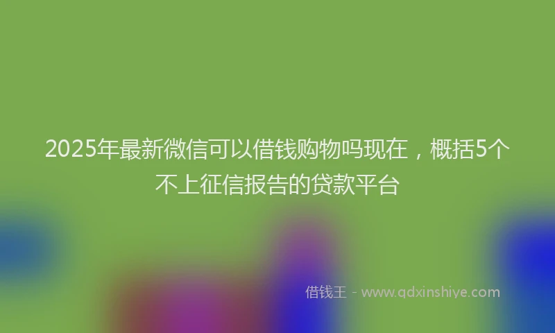 2025年最新微信可以借钱购物吗现在，概括5个不上征信报告的贷款平台