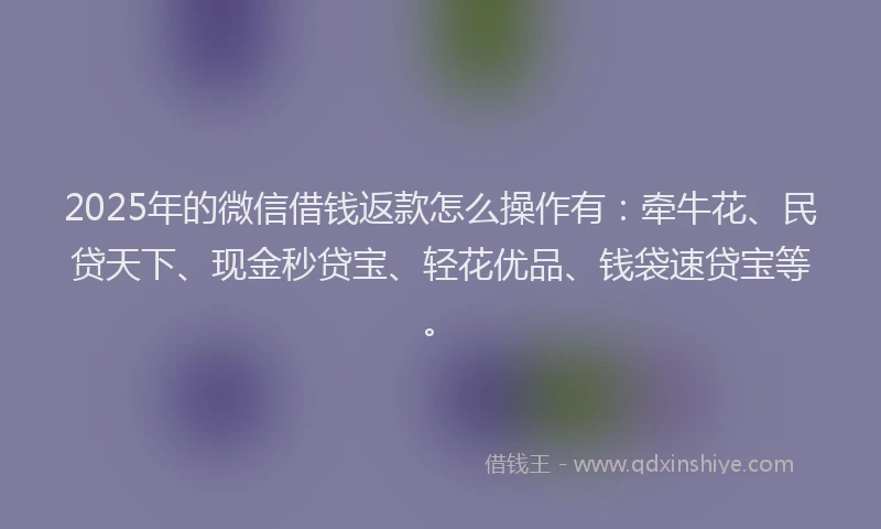 2025年的微信借钱返款怎么操作有：牵牛花、民贷天下、现金秒贷宝、轻花优品、钱袋速贷宝等。