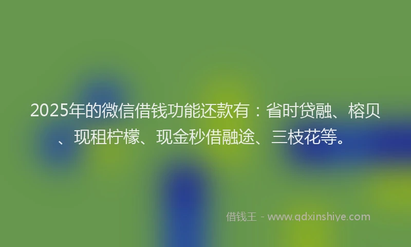 2025年的微信借钱功能还款有：省时贷融、榕贝、现租柠檬、现金秒借融途、三枝花等。