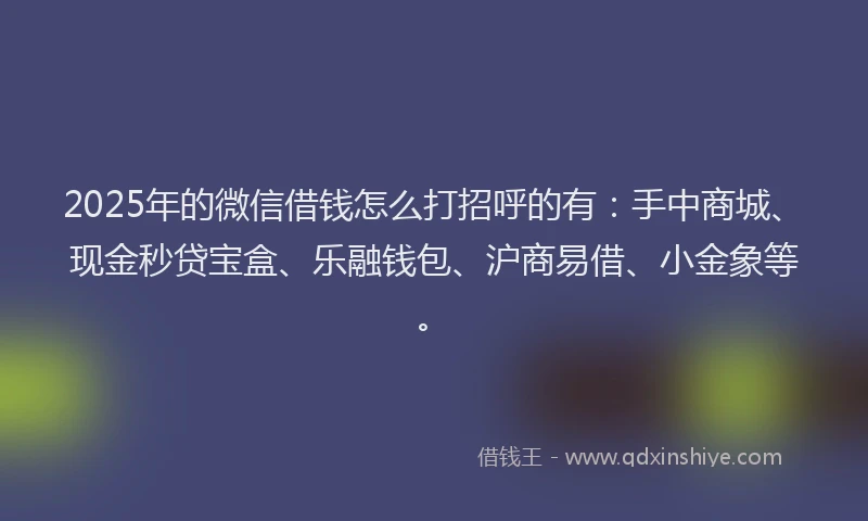 2025年的微信借钱怎么打招呼的有：手中商城、现金秒贷宝盒、乐融钱包、沪商易借、小金象等。
