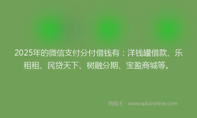 2025年的微信支付分付借钱有：洋钱罐借款、乐租租、民贷天下、树融分期、宝盈商城等。