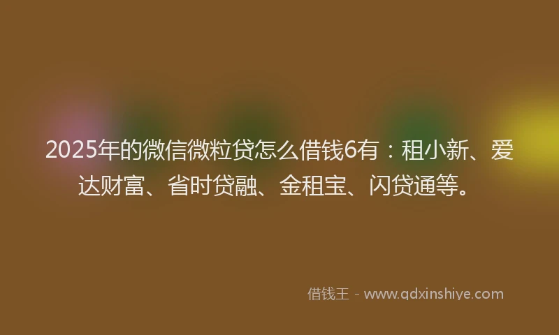 2025年的微信微粒贷怎么借钱6有：租小新、爱达财富、省时贷融、金租宝、闪贷通等。