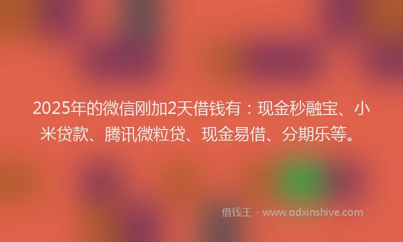 2025年的微信刚加2天借钱有：现金秒融宝、小米贷款、腾讯微粒贷、现金易借、分期乐等。