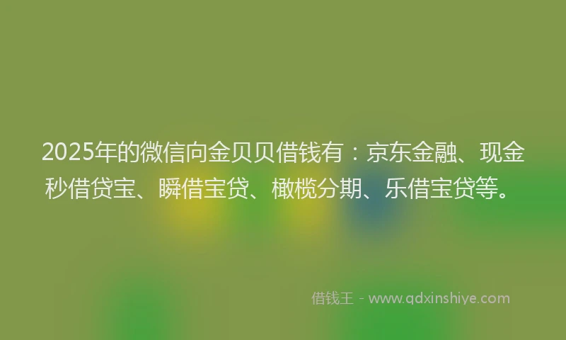 2025年的微信向金贝贝借钱有：京东金融、现金秒借贷宝、瞬借宝贷、橄榄分期、乐借宝贷等。