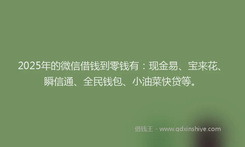 2025年的微信借钱到零钱有：现金易、宝来花、瞬信通、全民钱包、小油菜快贷等。
