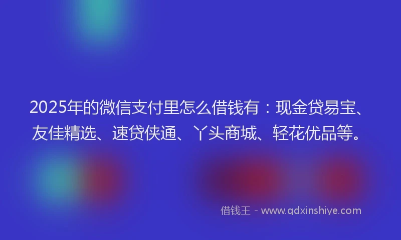 2025年的微信支付里怎么借钱有：现金贷易宝、友佳精选、速贷侠通、丫头商城、轻花优品等。
