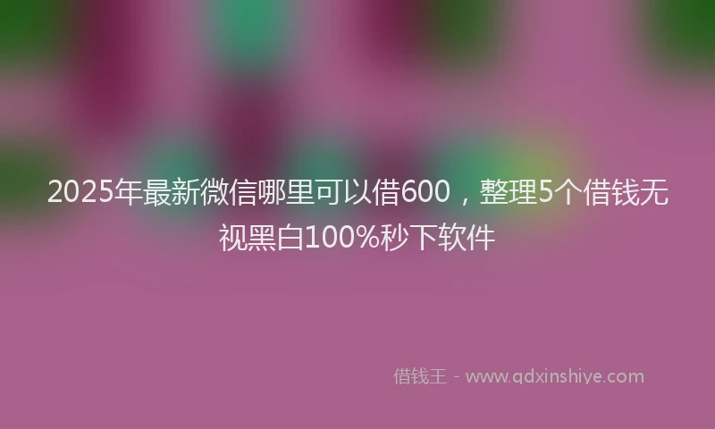 2025年最新微信哪里可以借600，整理5个借钱无视黑白100%秒下软件