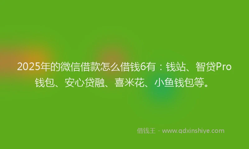 2025年的微信借款怎么借钱6有：钱站、智贷Pro钱包、安心贷融、喜米花、小鱼钱包等。