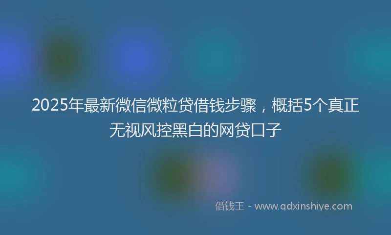 2025年最新微信微粒贷借钱步骤，概括5个真正无视风控黑白的网贷口子