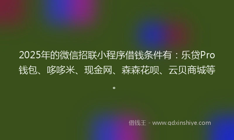 2025年的微信招联小程序借钱条件有：乐贷Pro钱包、哆哆米、现金网、森森花呗、云贝商城等。