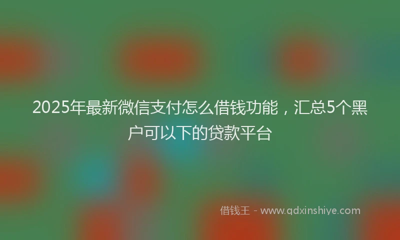 2025年最新微信支付怎么借钱功能，汇总5个黑户可以下的贷款平台