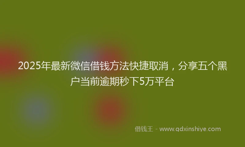 2025年最新微信借钱方法快捷取消，分享五个黑户当前逾期秒下5万平台