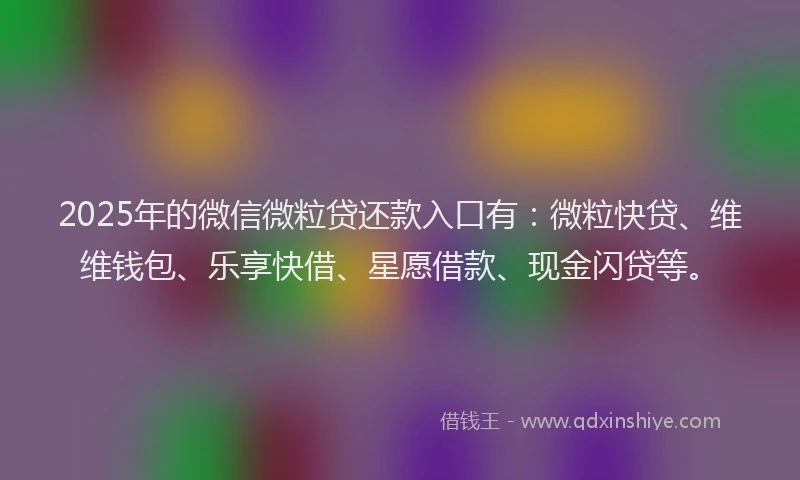 2025年的微信微粒贷还款入口有：微粒快贷、维维钱包、乐享快借、星愿借款、现金闪贷等。