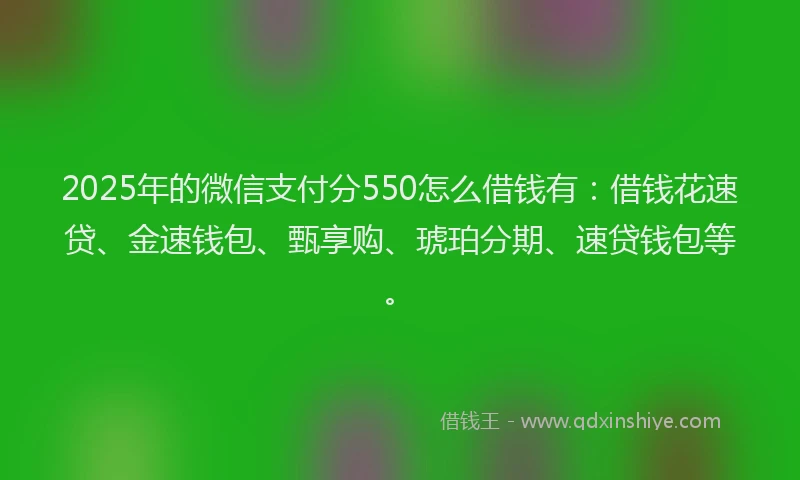 2025年的微信支付分550怎么借钱有：借钱花速贷、金速钱包、甄享购、琥珀分期、速贷钱包等。