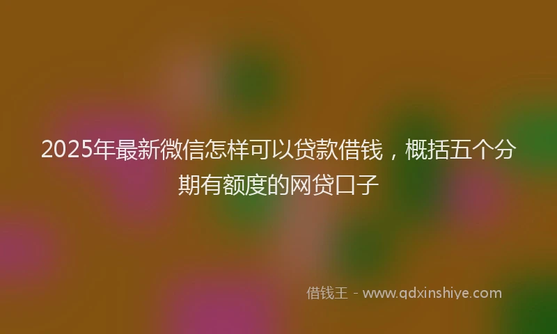 2025年最新微信怎样可以贷款借钱，概括五个分期有额度的网贷口子