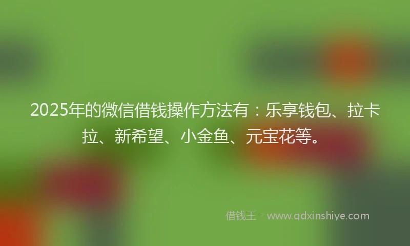 2025年的微信借钱操作方法有：乐享钱包、拉卡拉、新希望、小金鱼、元宝花等。